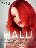 Halu 1-12: Intohimoinen eroottinen novellikokoelma