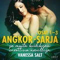Angkor-sarjan osat 1?3 ja muita kiihken eroottisia novelleja