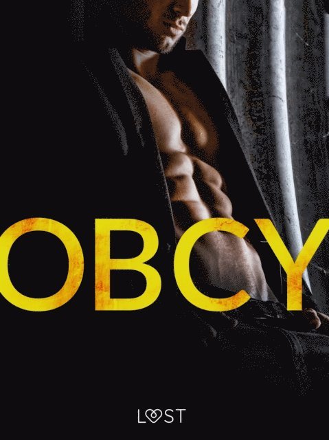 Katja Slonawski, Camille Bech - Obcy i 14 innych opowiadań erotycznych, E-bok