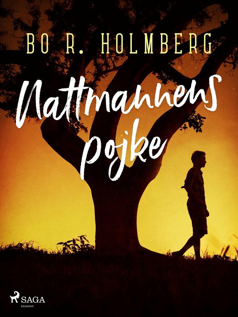 Bo R. Holmberg - Nattmannens pojke, E-bok