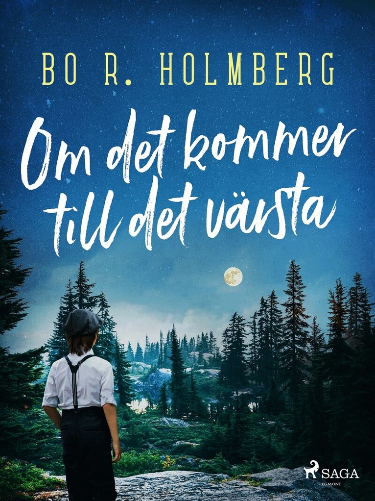 Bo R. Holmberg - Om det kommer till det värsta, E-bok