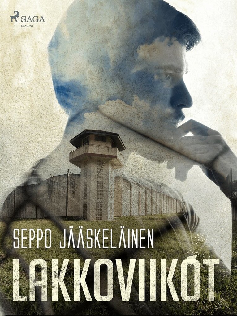 Seppo Jääskeläinen - Lakkoviikot, E-bok