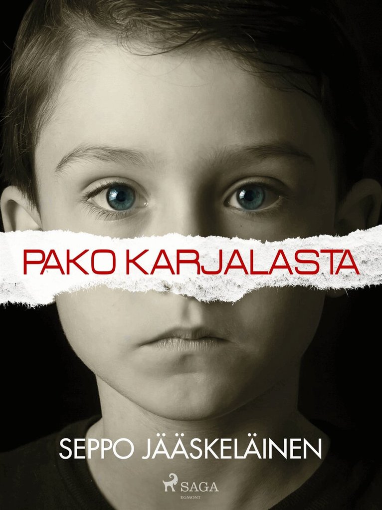 Seppo Jääskeläinen - Pako Karjalasta, E-bok