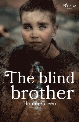 Homer Green - Blind Brother, Häftad