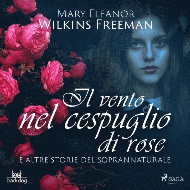 Freeman, Dauli - Il vento nel cespuglio di rose e altre storie del soprannaturale, Ljudbok