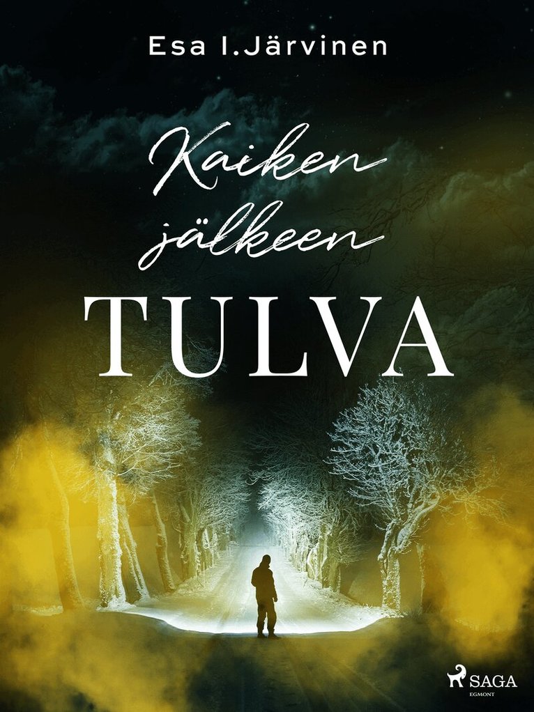 Esa I. Järvinen - Kaiken jälkeen tulva, E-bok