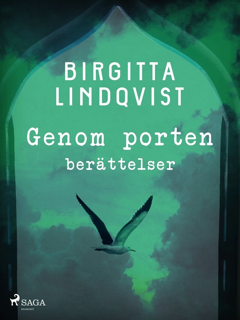 Birgitta Lindqvist - Genom porten, E-bok