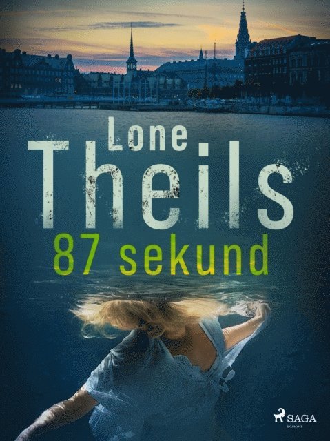 Lone Theils - 87 sekund, E-bok