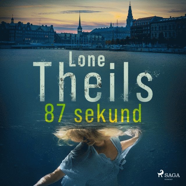 Theils - 87 sekund, Ljudbok