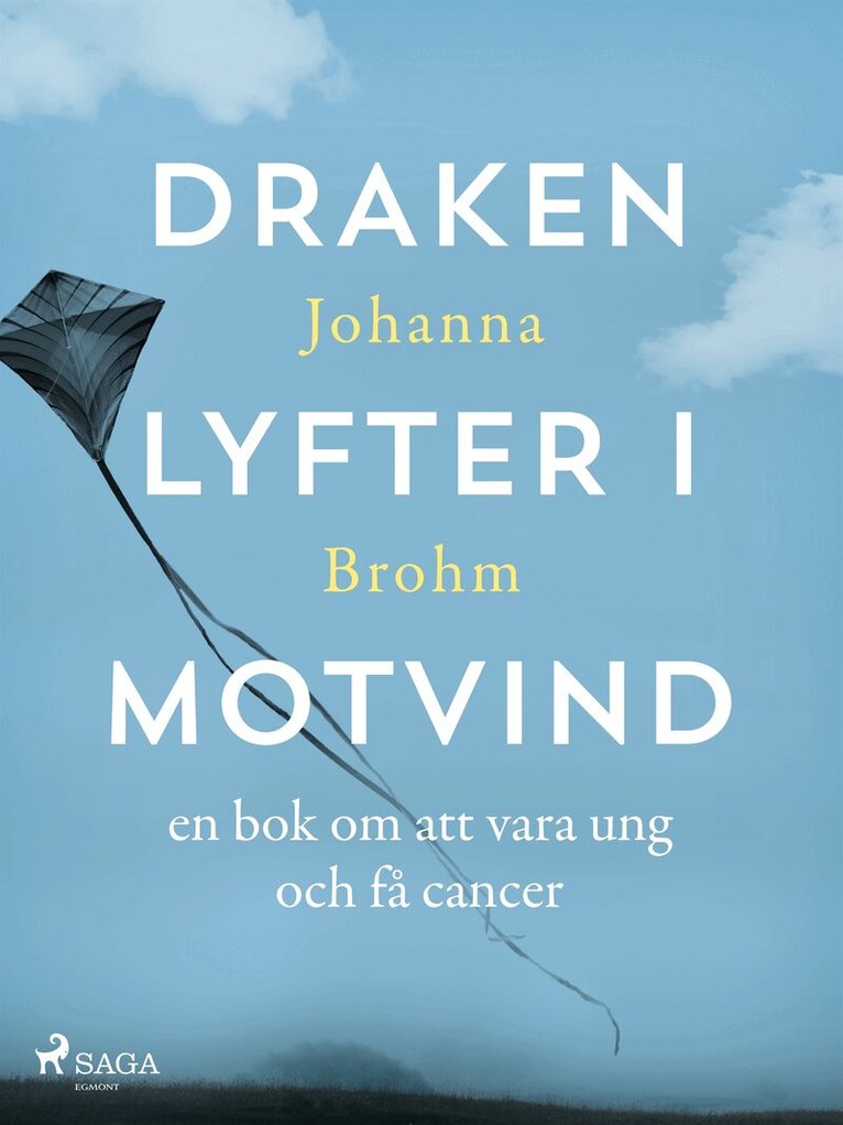 Johanna Brohm - Draken lyfter i motvind, E-bok