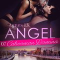 Angel 7: Catwoman Domina- BDSM erotik