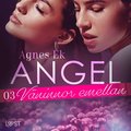 Angel 3: Vninnor emellan- Erotisk novell