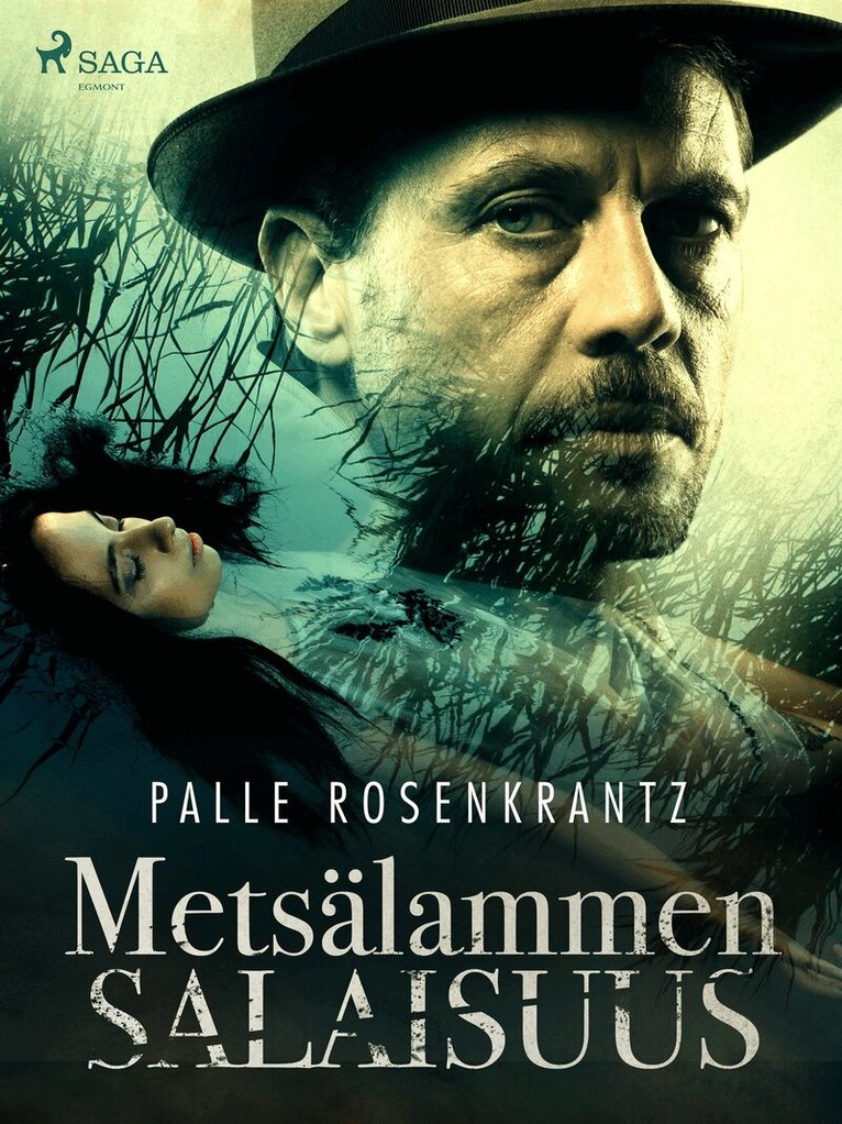 Palle Rosenkrantz - Metsälammen salaisuus, E-bok