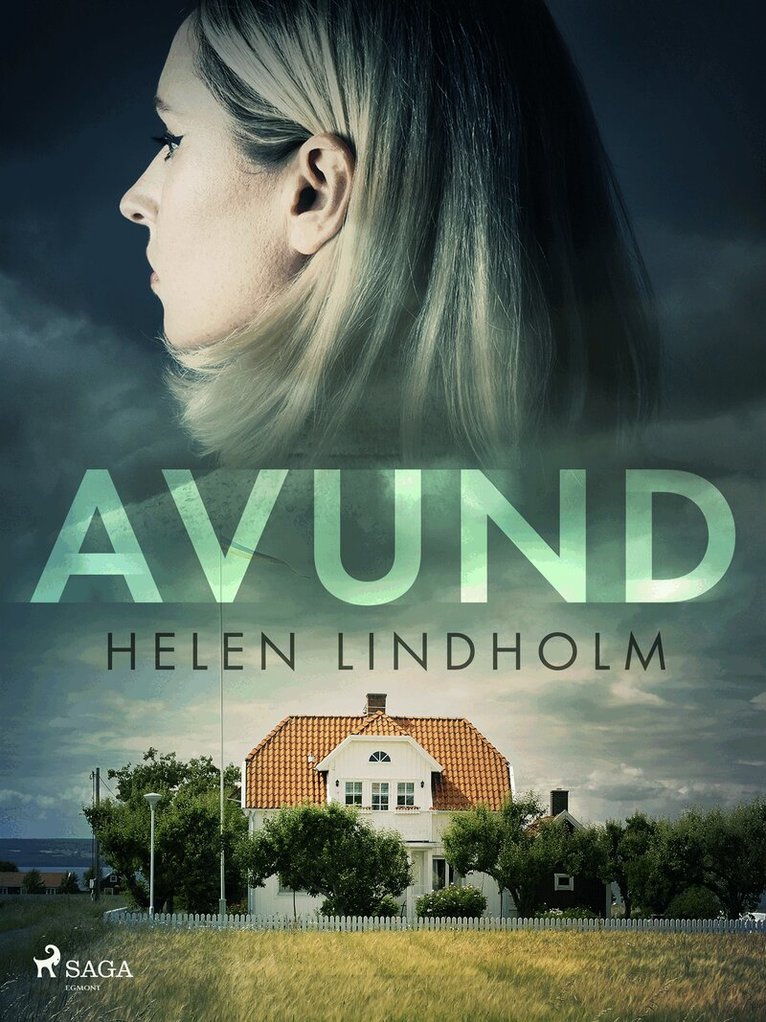Helen Lindholm - Avund, E-bok