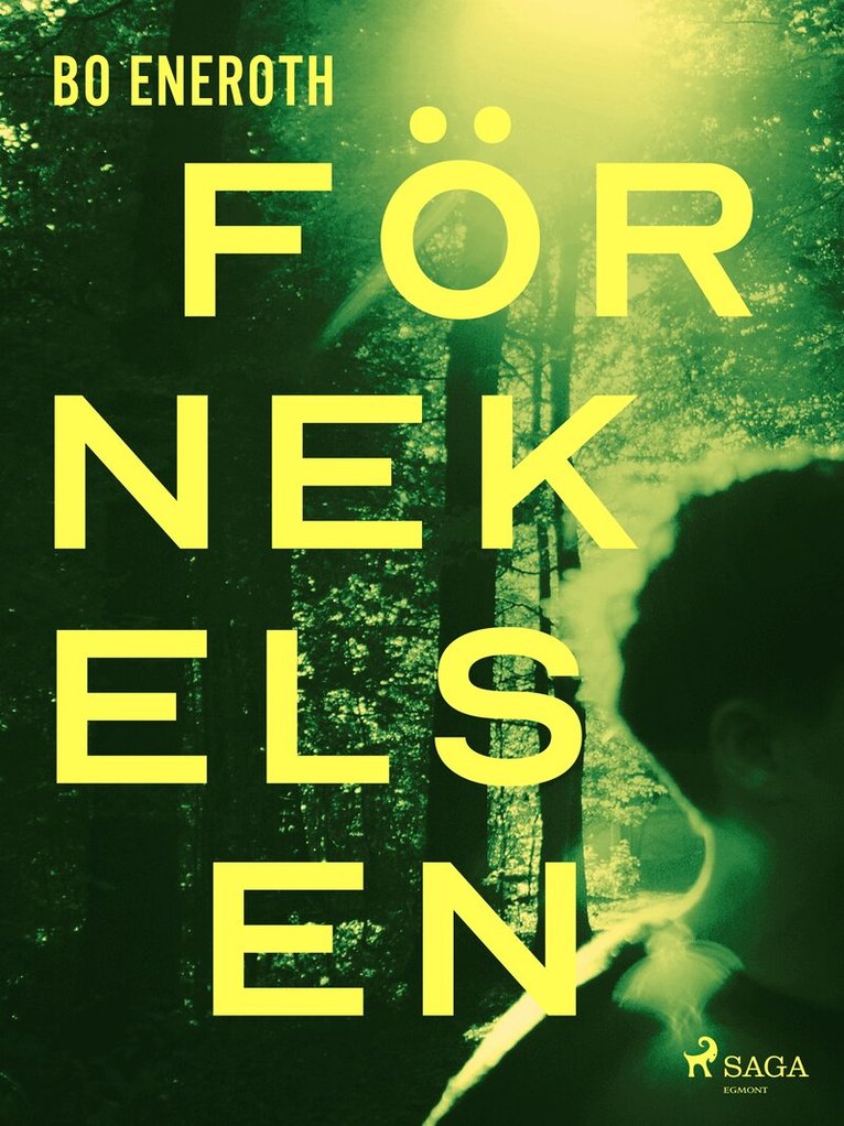 Bo Eneroth - Förnekelsen, E-bok