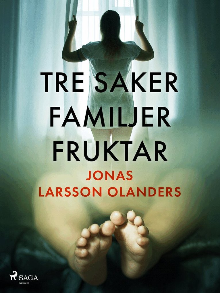 Jonas Larsson Olanders - Tre saker familjer fruktar, E-bok