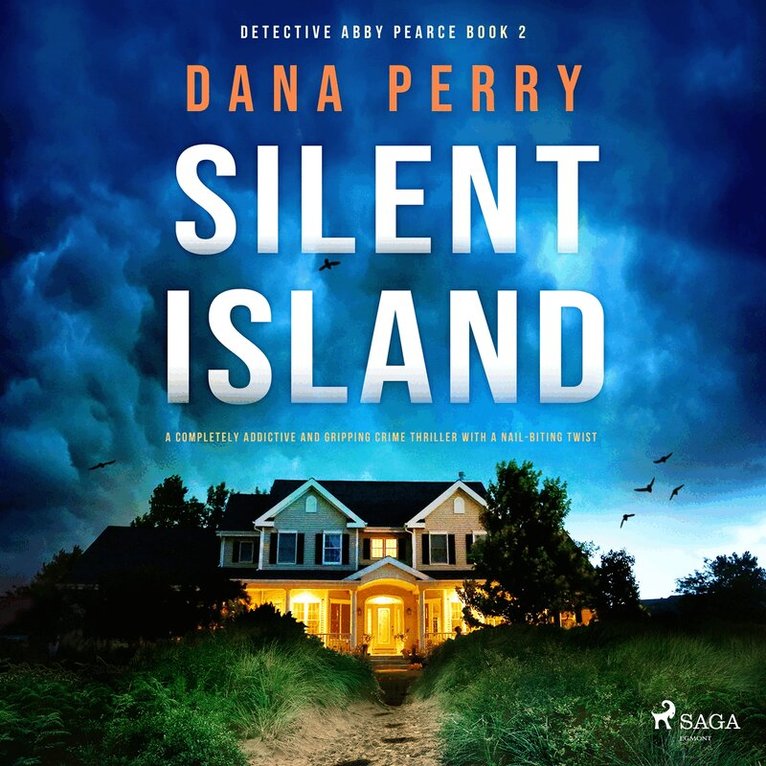 Dana Perry - Silent Island, Ljudbok