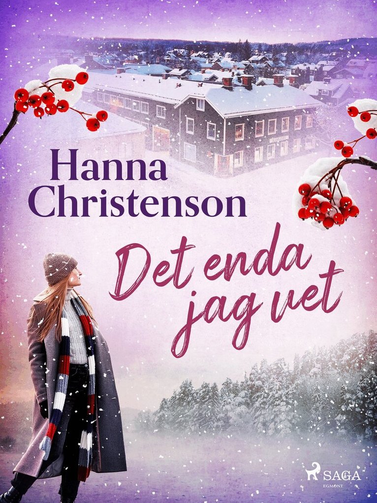 Hanna Christenson - Det enda jag vet, E-bok