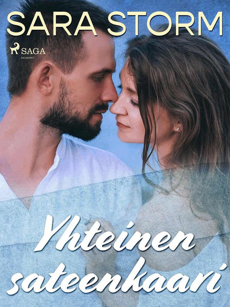 Sara Storm - Yhteinen sateenkaari, E-bok