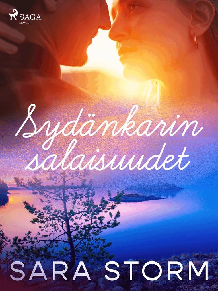 Sara Storm - Sydänkarin salaisuudet, E-bok