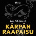 Kärpän raapaisu