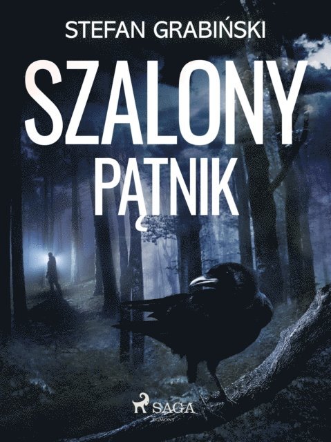 Stefan Grabinski - Szalony pątnik, E-bok