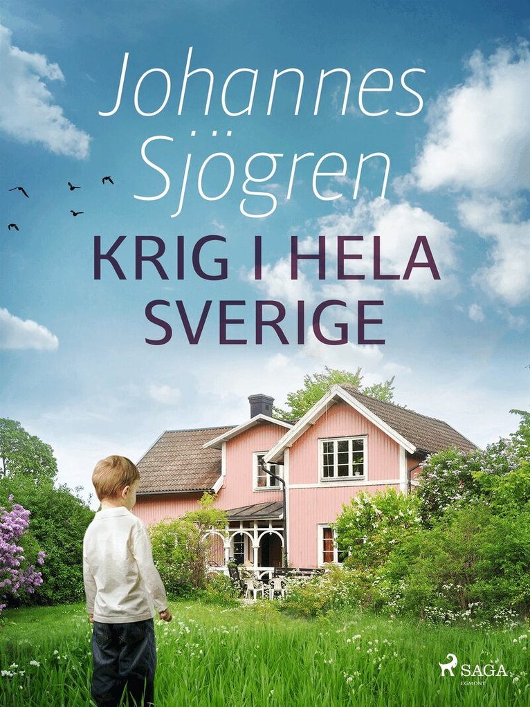 Johannes Sjögren - Krig i hela Sverige, E-bok