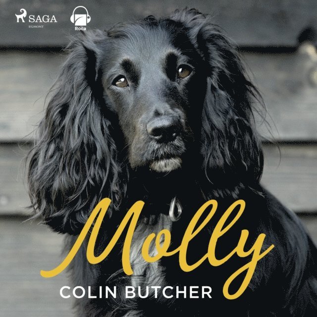Butcher - Molly, Ljudbok