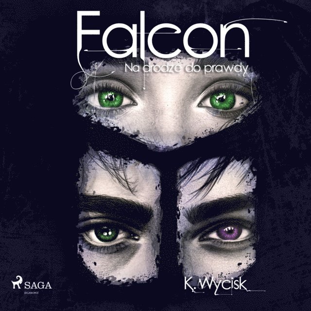 Wycisk - Falcon III Na drodze do prawdy, Ljudbok