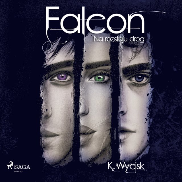 Wycisk - Falcon II Na rozstaju dróg, Ljudbok
