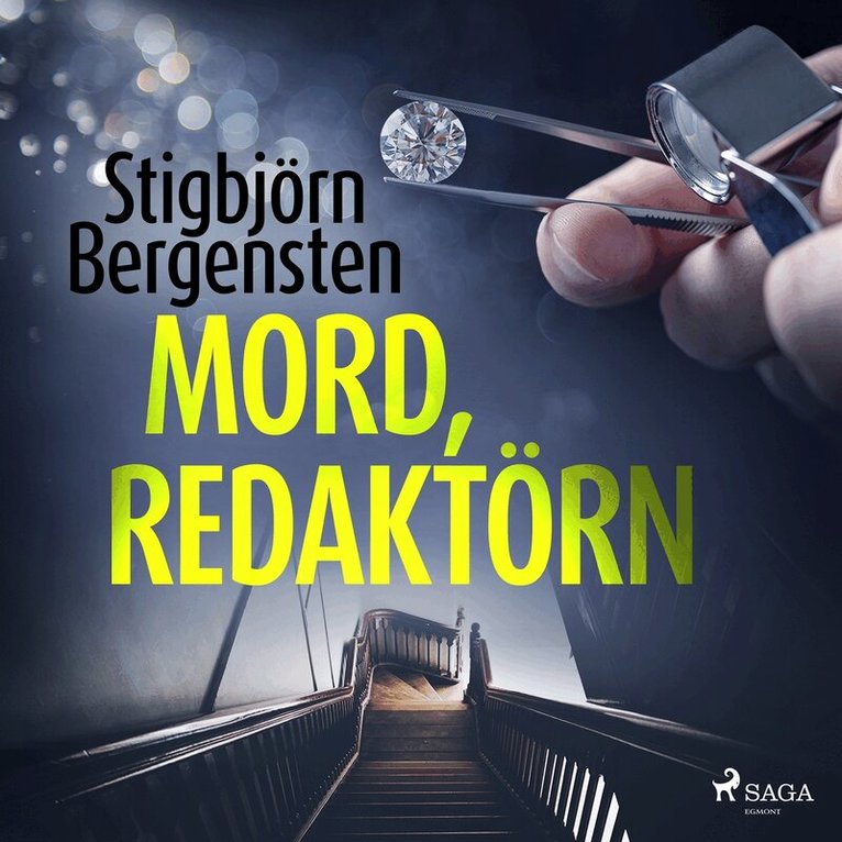 Stigbjörn Bergensten - Mord, redaktörn, Ljudbok