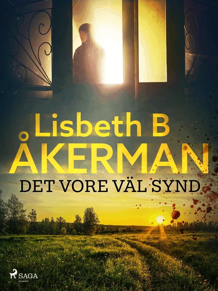 Lisbeth B åkerman - Det vore väl synd ..., E-bok