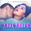 Nattgästen - 10 spännande erotiska noveller