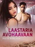 Laastaria avohaavaan - eroottinen novelli