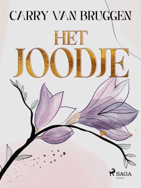 Carry van Bruggen - Het Joodje, E-bok