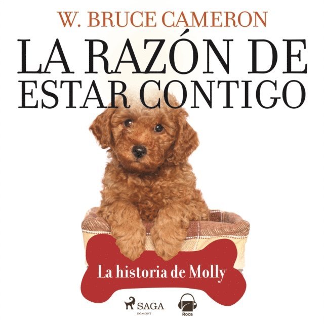 Cameron - La razón de estar contigo. La historia de Molly, Ljudbok