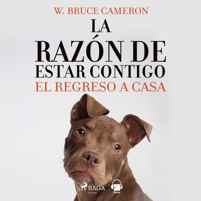 Cameron - La razón de estar contigo. El regreso a casa, Ljudbok