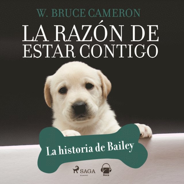Cameron - La razón de estar contigo. La historia de Bailey, Ljudbok