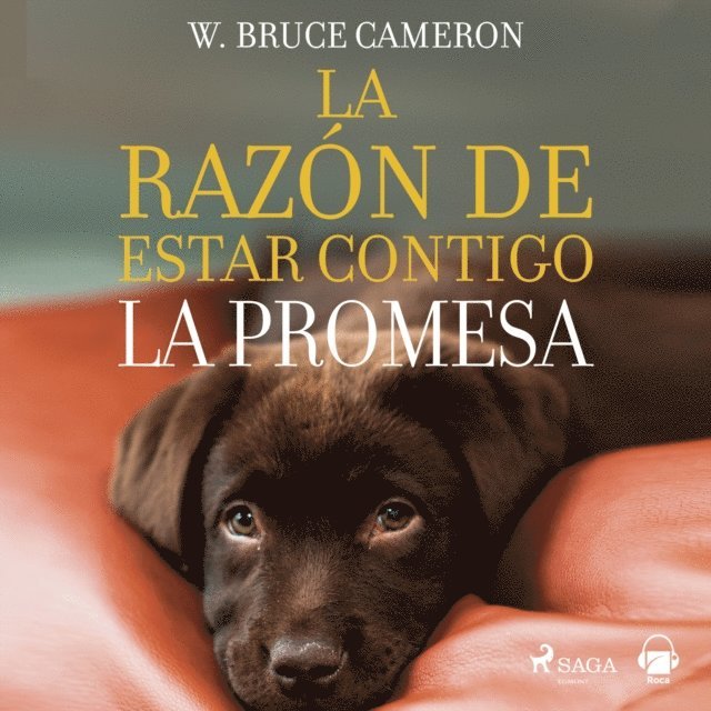 Cameron - La razón de estar contigo. La promesa, Ljudbok