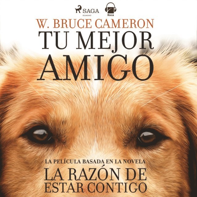 Cameron - La razón de estar contigo. Mi mejor amigo, Ljudbok