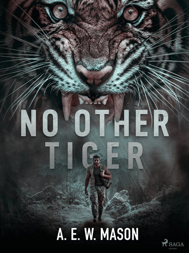 A. E. W. Mason - No Other Tiger, E-bok