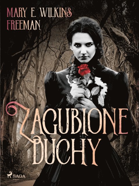 Mary E. Wilkins Freeman - Zagubione duchy, E-bok