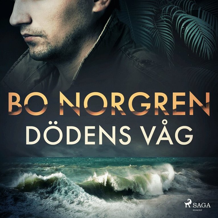 Bo Norgren - Dödens våg, Ljudbok