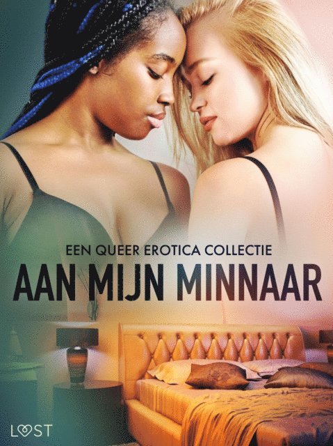 LUST authors - Aan mijn minnaar: een queer erotica collectie, E-bok
