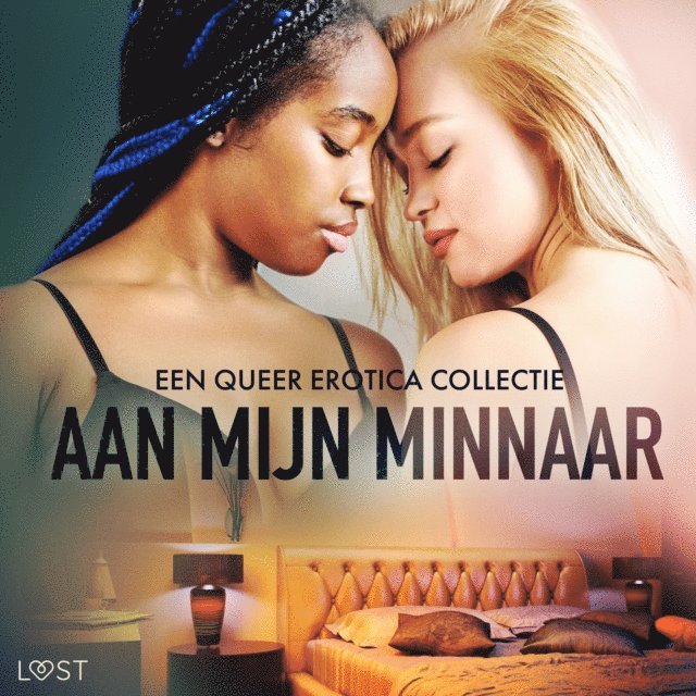 authors - Aan mijn minnaar: een queer erotica collectie, Ljudbok