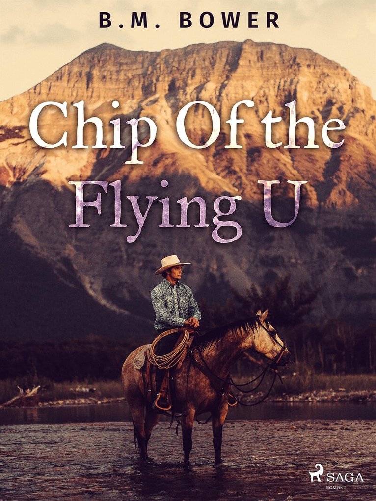 B. M. Bower - Chip Of the Flying U, E-bok