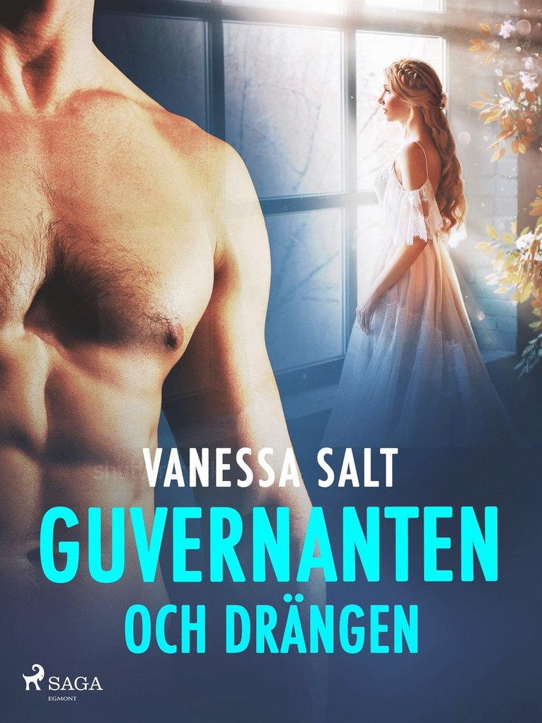 Vanessa Salt - Guvernanten och drängen - erotisk novell, E-bok