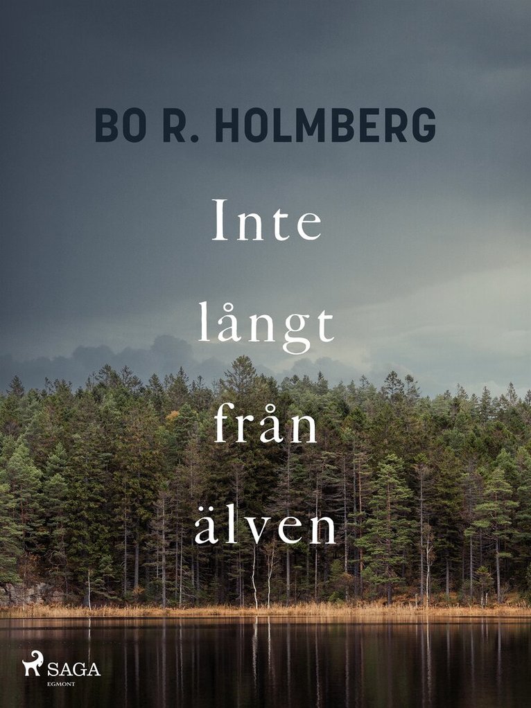 Bo R. Holmberg - Inte långt från älven, E-bok