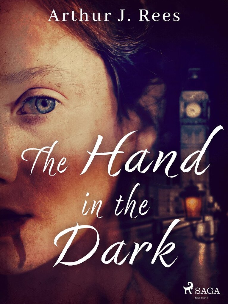 Arthur J. Rees - The Hand in the Dark, E-bok