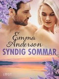 Syndig sommar - erotisk novell